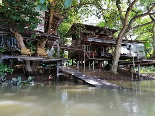 บ้านต้นไม้ริมน้ำ จ.อยุธยา บนแพลตฟอร์ม Airbnb  ของอดีตสถาปนิกผู้ตัดสินใจกลับบ้านมาวางแผนชีวิตบั้นปลาย